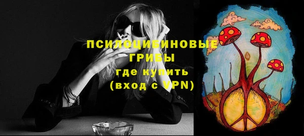 не бодяженный Арсеньев