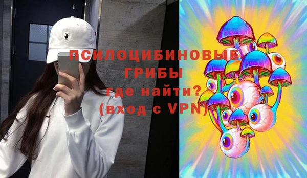 не бодяженный Арсеньев